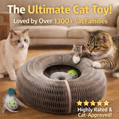 🐱Magic Foldable Scratcher & Cat Bed🛌 - Buy 2 & Save 20%