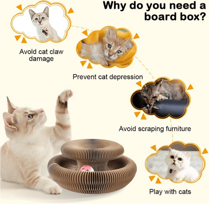 🐱Magic Foldable Scratcher & Cat Bed🛌 - Buy 2 & Save 20%