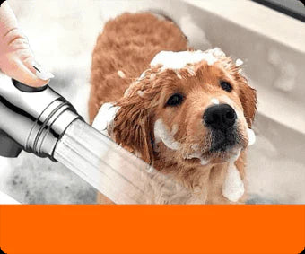 2026🏆✨LAST DAY SALE 70% OFF🔥Multifunctional Shower Head for Massage & Skin Care