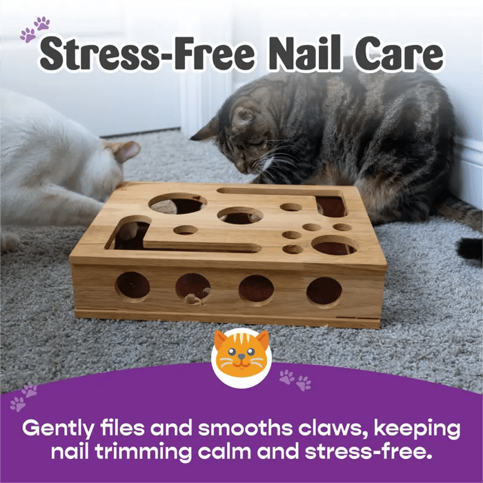 2026🎁😻✨Cat Scratch Puzzle Enrichment Box: Nail File Stress Free Alternative to Clippers and Grinders