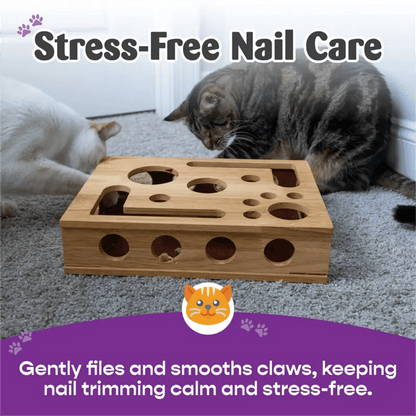 2026🎁😻✨Cat Scratch Puzzle Enrichment Box: Nail File Stress Free Alternative to Clippers and Grinders