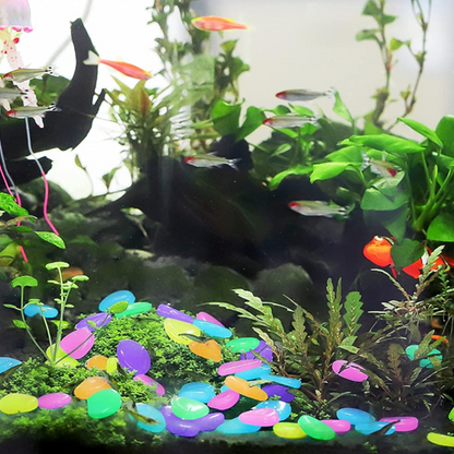 🔥Buy 1000🔥Luminous Stones for Garden & Home Decoration