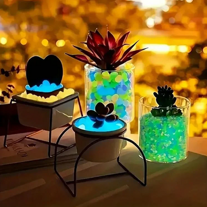🔥Buy 1000🔥Luminous Stones for Garden & Home Decoration