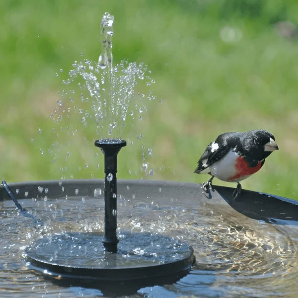 ⏳Time-Limited Special⏰Compact Solar Bird Fountain Pump – Keep Your Garden Alive! 🐦️ - A926