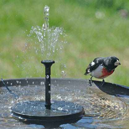 ⏳Time-Limited Special⏰Compact Solar Bird Fountain Pump – Keep Your Garden Alive! 🐦️ - A926